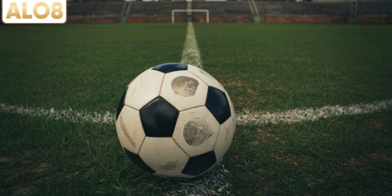 Tài Xỉu Rung – Hướng Dẫn Chiến Lược Đọc Trận Đấu Chuẩn Xác 3 Điểm danh một số chiến lược bắt tài xỉu hay